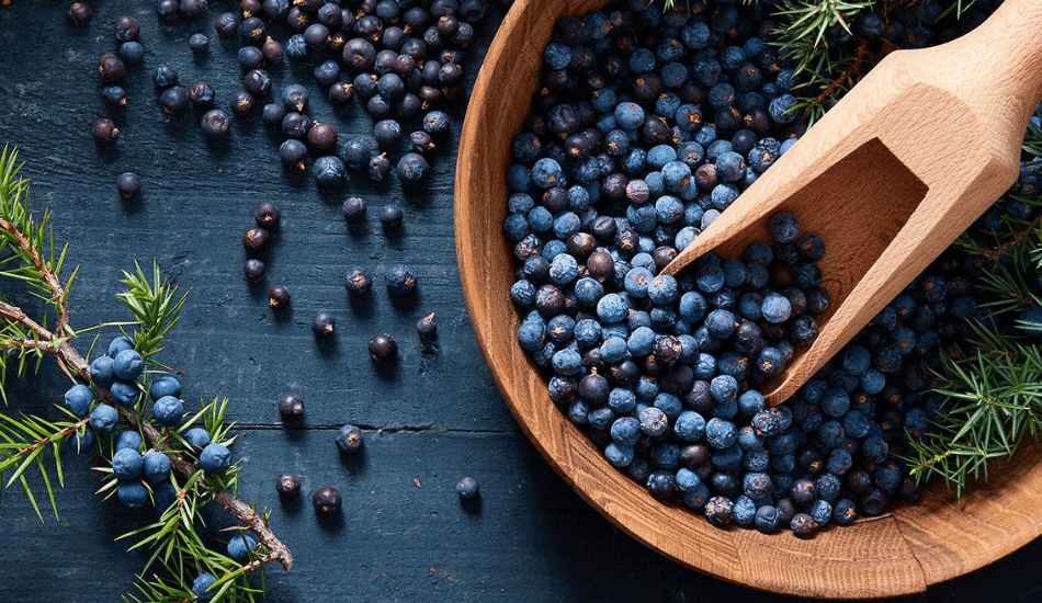 J.Rose Gin - Il Gusto dell'Italia e l'Arte di Milo Manara | JRose ...